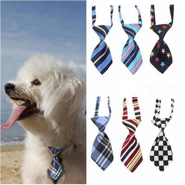 Cat/Dog Gentleman Tie pets-park-pk