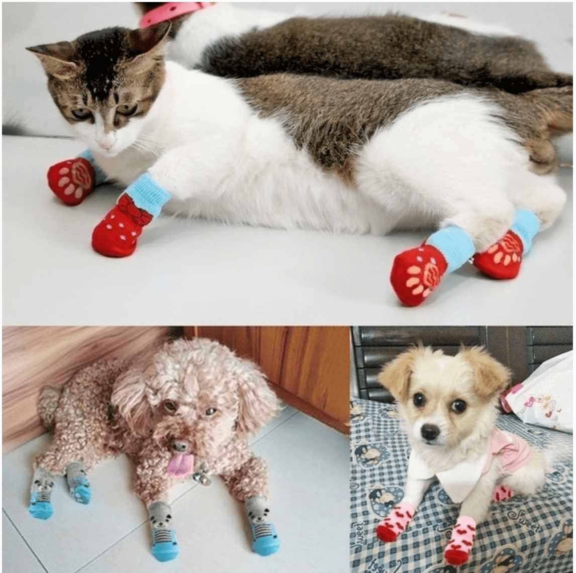 Cat/Dog Sock Set pets-park-pk