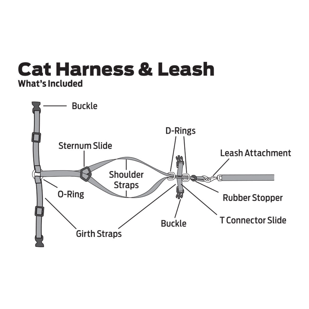 Cat Harness Cat Leash pets-park-pk