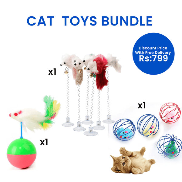 Cat Toys Bundle pets-park-pk