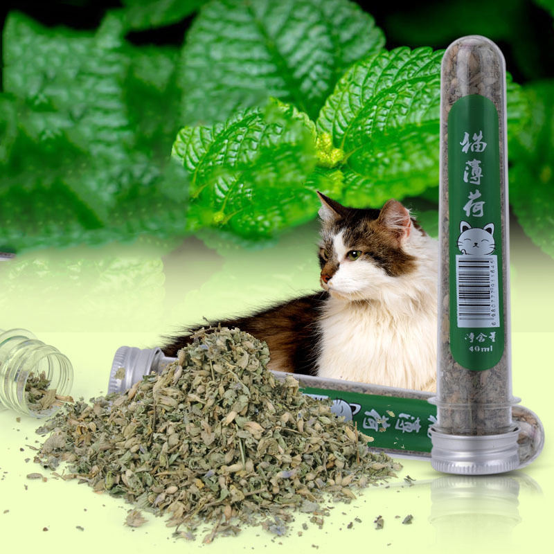 Cat Nip Powder pets-park-pk