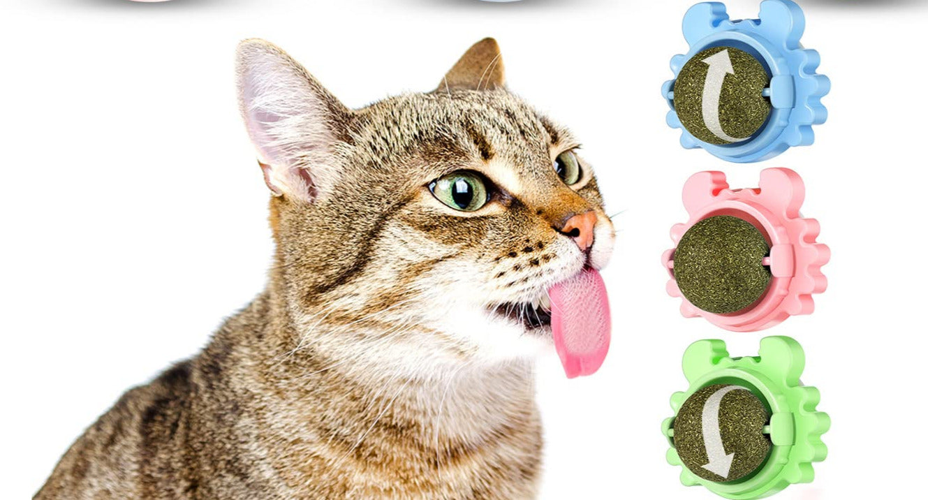 Catnip Lollipop for Cat pets-park-pk