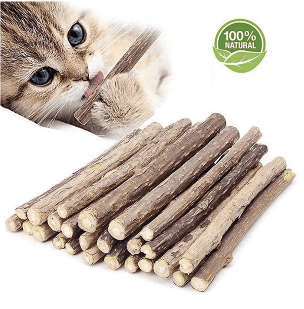 Nip Stick Best for Cat Dental Health pets-park-pk