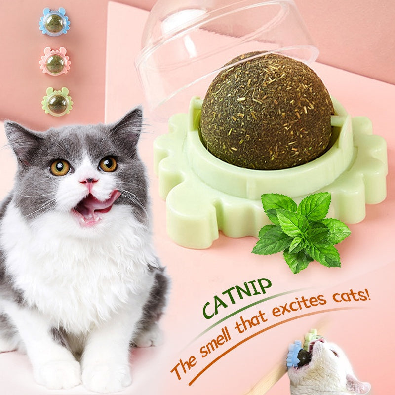 Catnip Lollipop for Cats pets-park-pk
