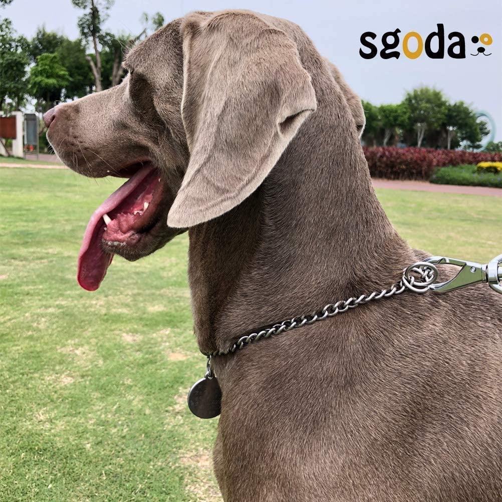 Choke Chain for GSD/Dog pets-park-pk