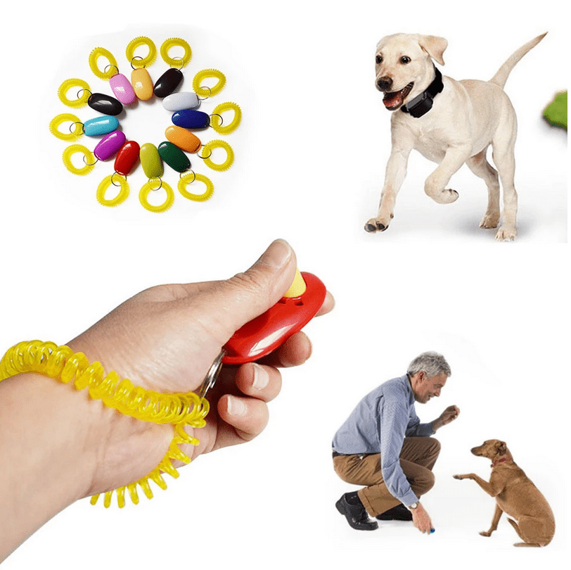 Clicker for Dog and Cat Training pets-park-pk