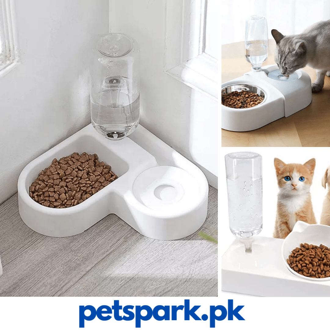 Corner Point Automatic Food Dispenser 500ML pets-park-pk
