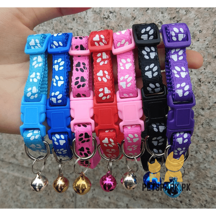 Cute Cat Collar with Printed Paws pets-park-pk