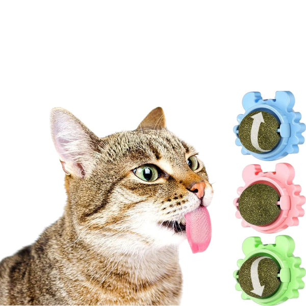 Catnip Lollipop for Cats pets-park-pk