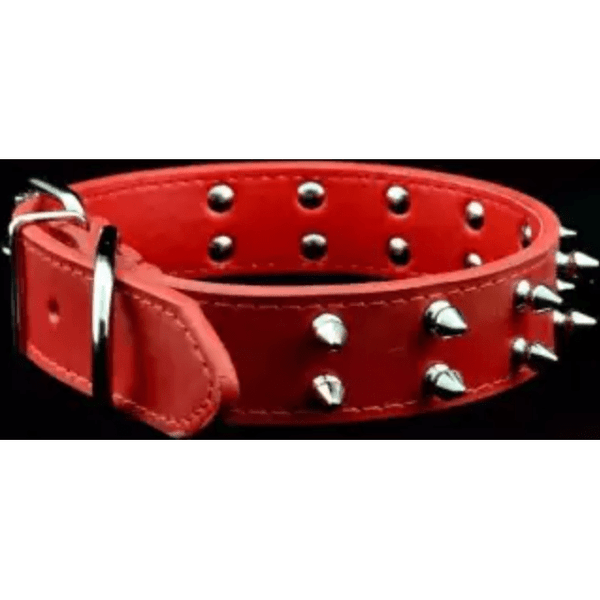 Double Spike Collar pets-park-pk