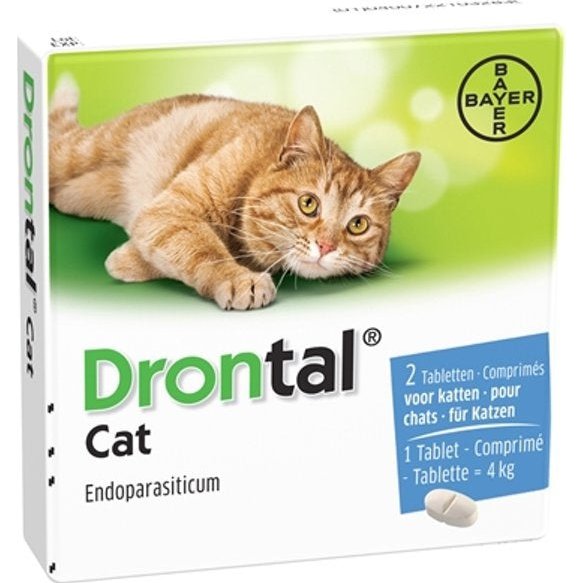 Drontal 01 Deworming Tablet for Cats pets-park-pk