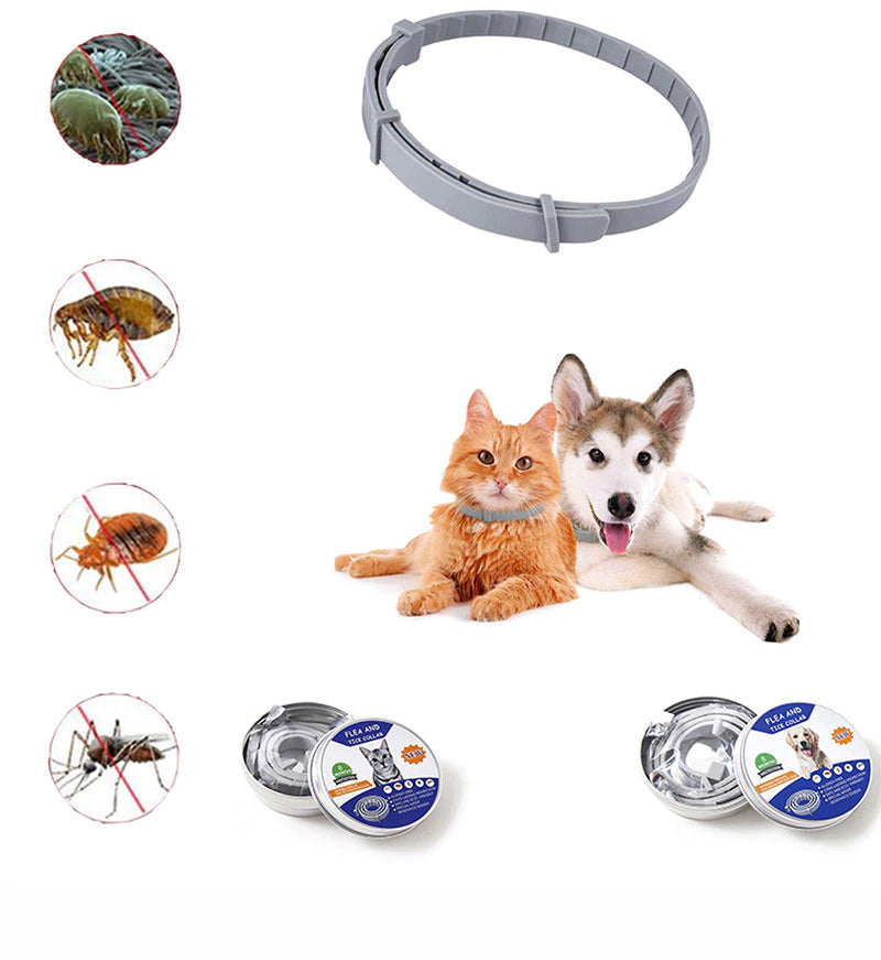 Flea Tick Collar Ideal for Outdoor Cats & Dogs pets-park-pk
