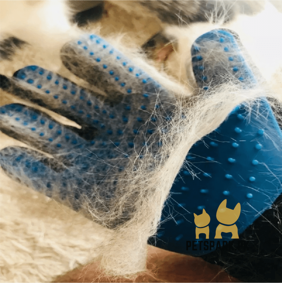 Grooming Gloves For Dogs And Cats pets-park-pk