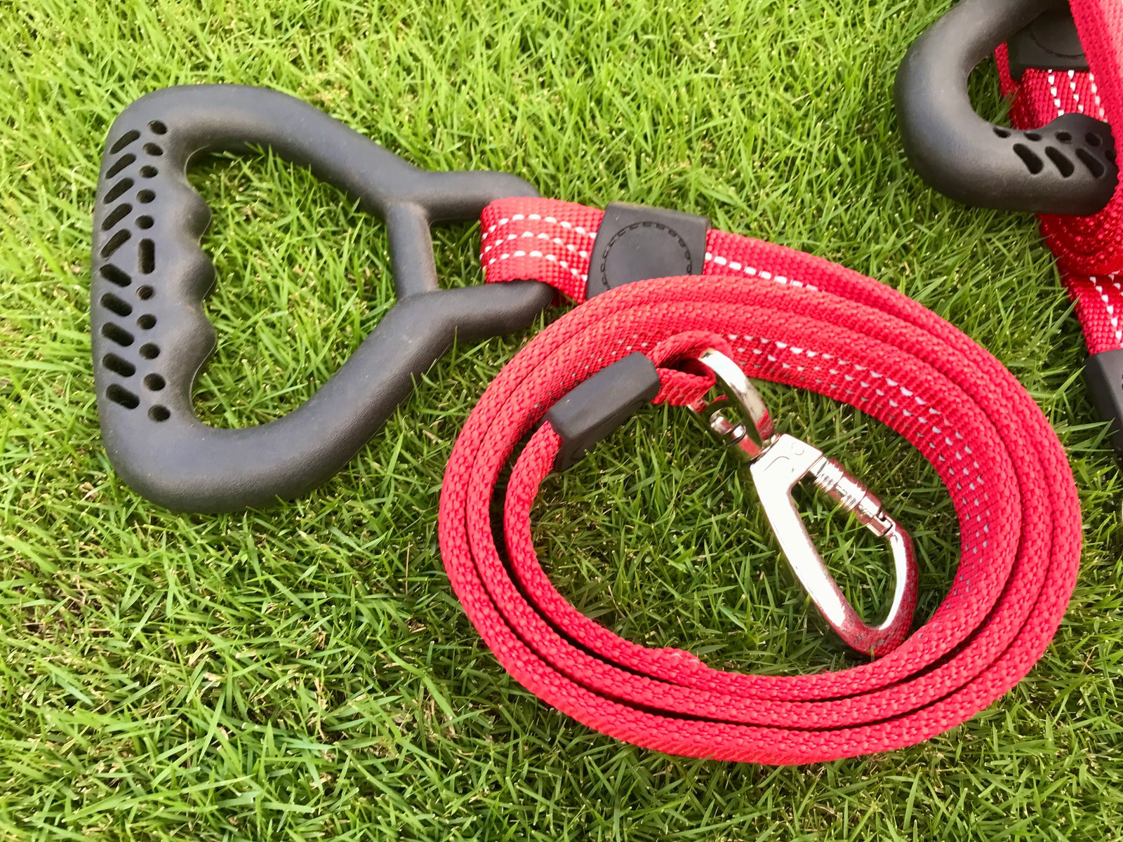 Handle Leash for Strong Dogs pets-park-pk