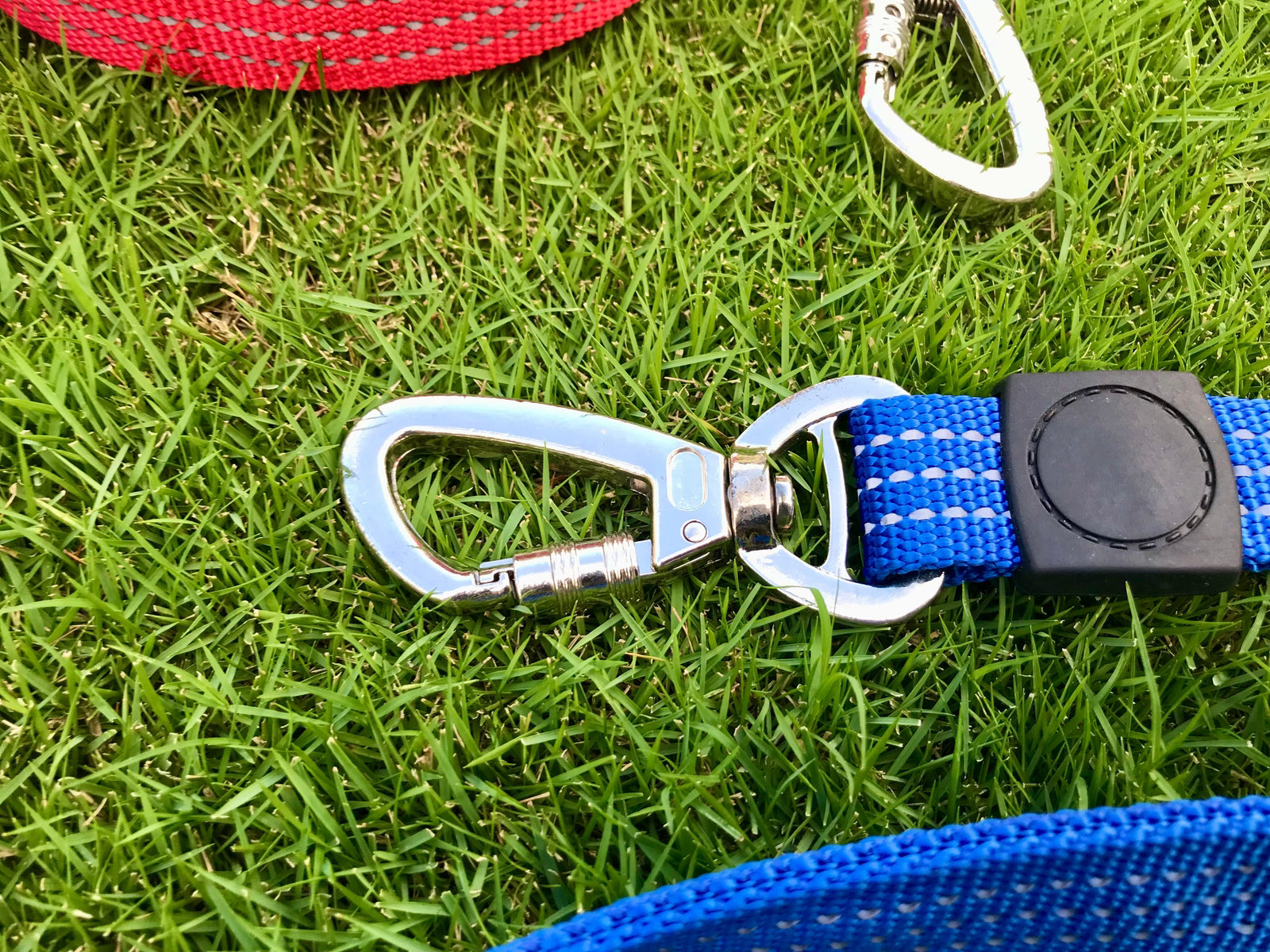 Handle Leash for Strong Dogs pets-park-pk