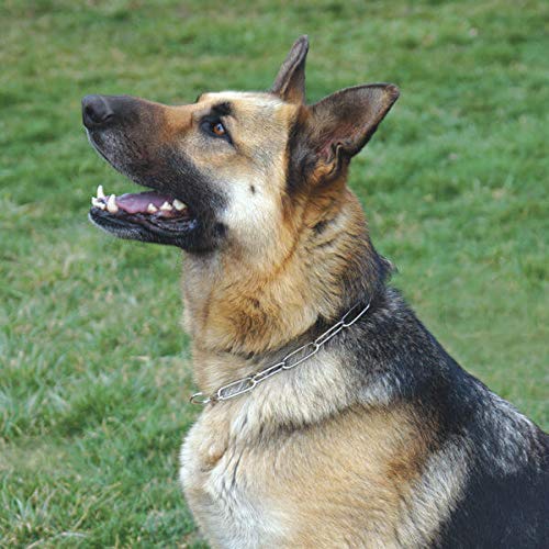 High Quality Long Link Choke Chain for GSD/Dog pets-park-pk