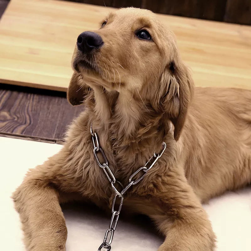High Quality Long Link Choke Chain for GSD/Dog pets-park-pk
