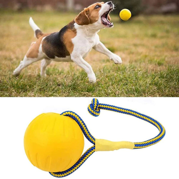High Quality Tug Toy for Puppies and Dog Very Durable pets-park-pk