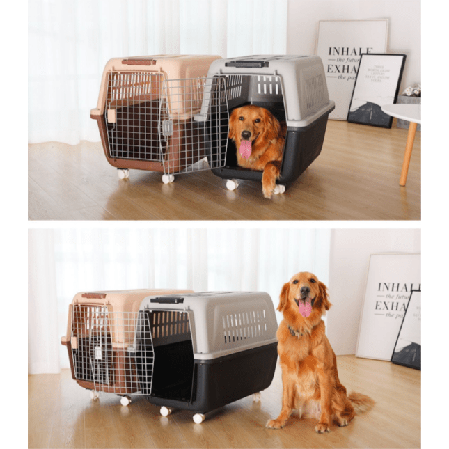 Jet Airline Approved Pet Carrier Box pets-park-pk