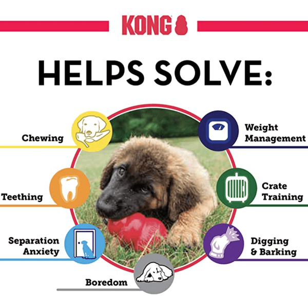KONG Puppy Natural Teething Rubber - Kong Dog Toy pets-park-pk