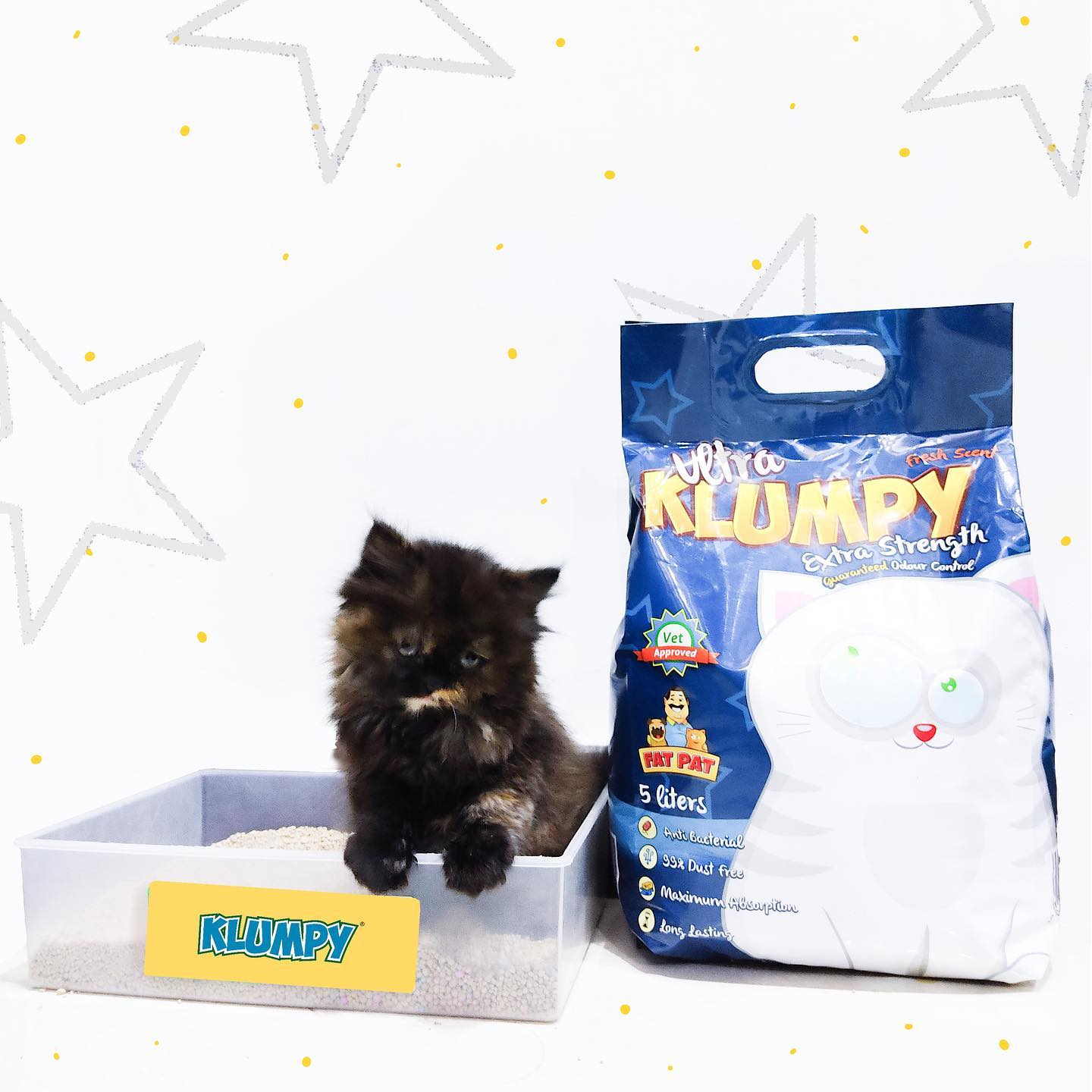 Klumpy Cat Litter Ultra 5L pets-park-pk