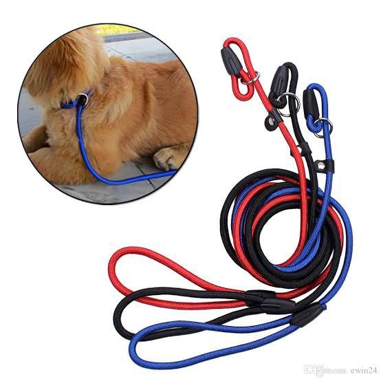 Lab Rope Leash for Labradors pets-park-pk