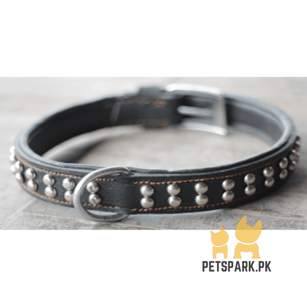 Leather Double Ring Collar 1.25 pets-park-pk