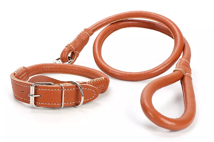 PU Leather Collar + Leash Heavy Duty For Dogs pets-park-pk