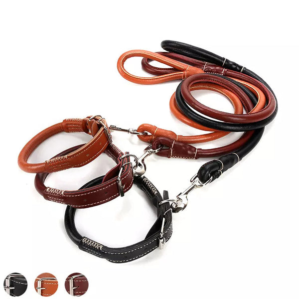 PU Leather Collar + Leash Heavy Duty For Dogs pets-park-pk