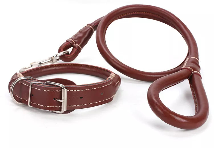PU Leather Collar + Leash Heavy Duty For Dogs pets-park-pk