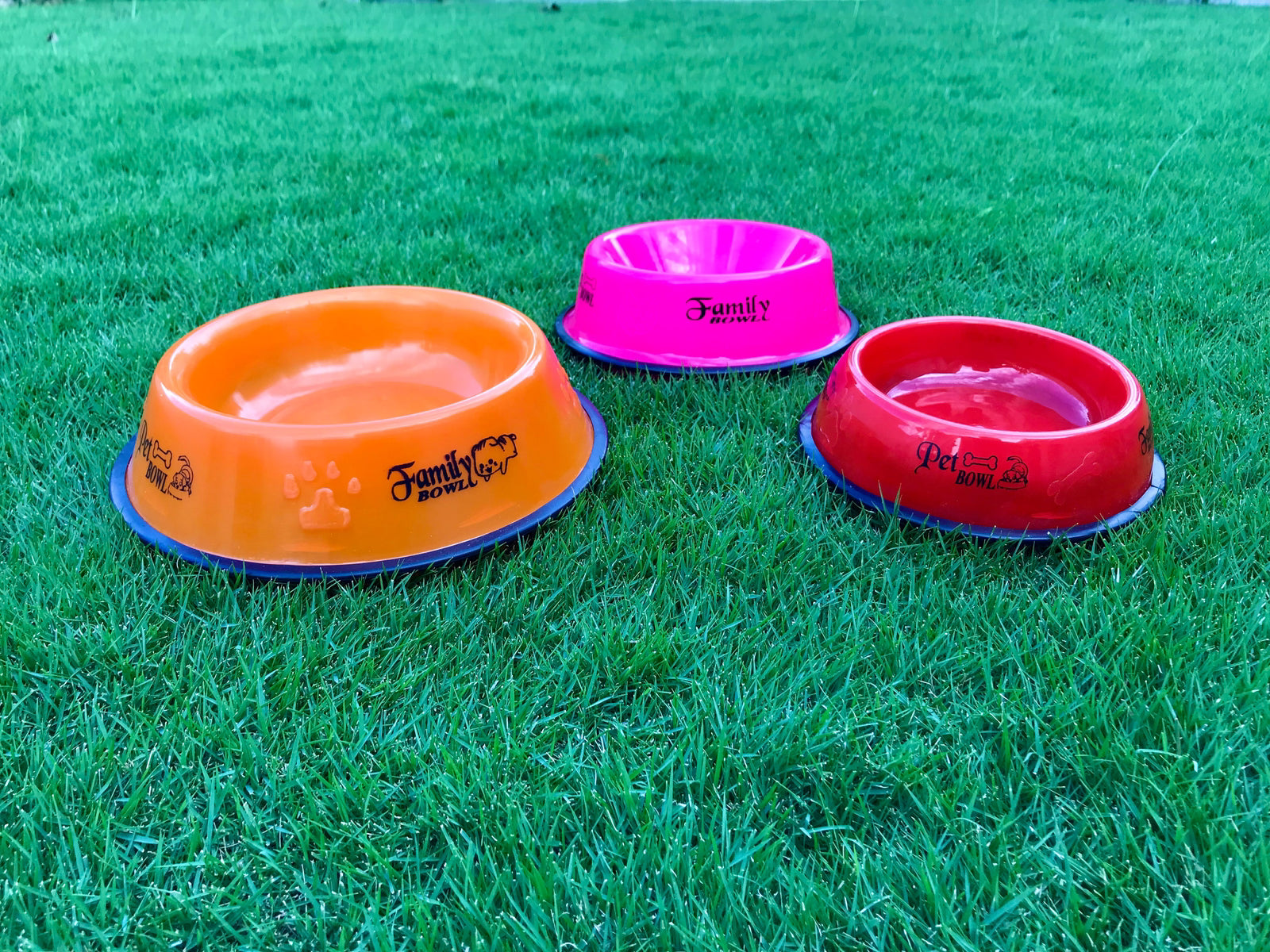 Plastic Bowl for Cats and Dogs pets-park-pk