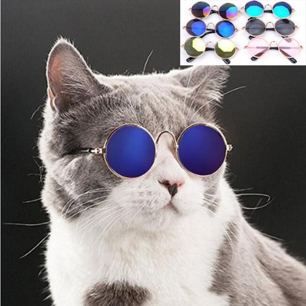 Pop Pet Eyes Sunglasses Shades for Cats and Small Puppies pets-park-pk