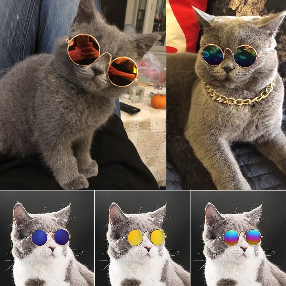 Pop Pet Eyes Sunglasses Shades for Cats and Small Puppies pets-park-pk