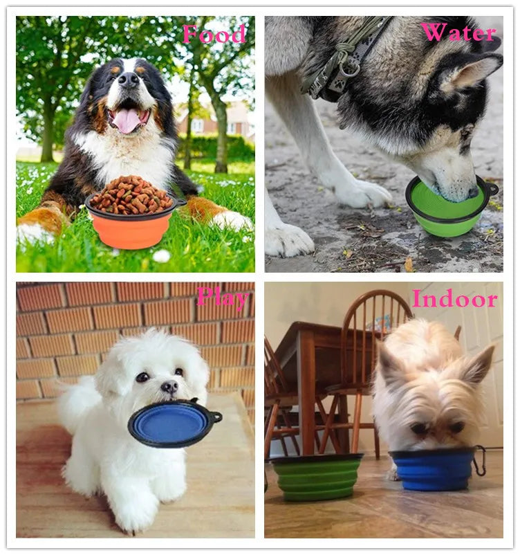 Portable Travel Bowl for Cats and Dogs pets-park-pk