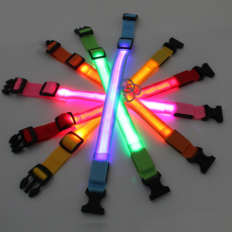 LED Puppy Collar pets-park-pk