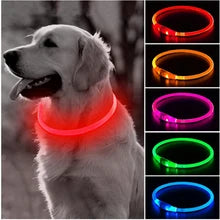 LED Puppy Collar pets-park-pk