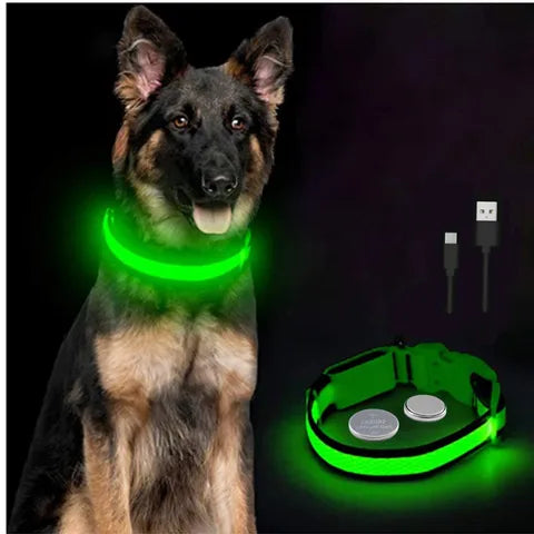 LED Puppy Collar pets-park-pk