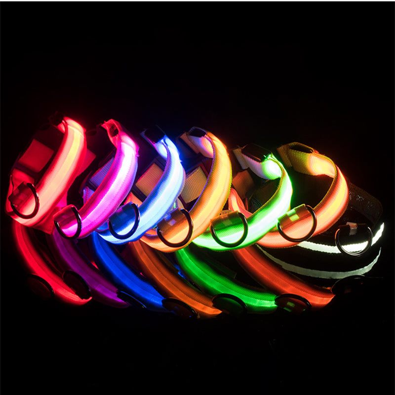 LED Puppy Collar pets-park-pk