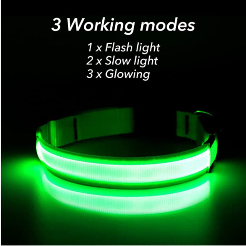 LED Puppy Collar pets-park-pk