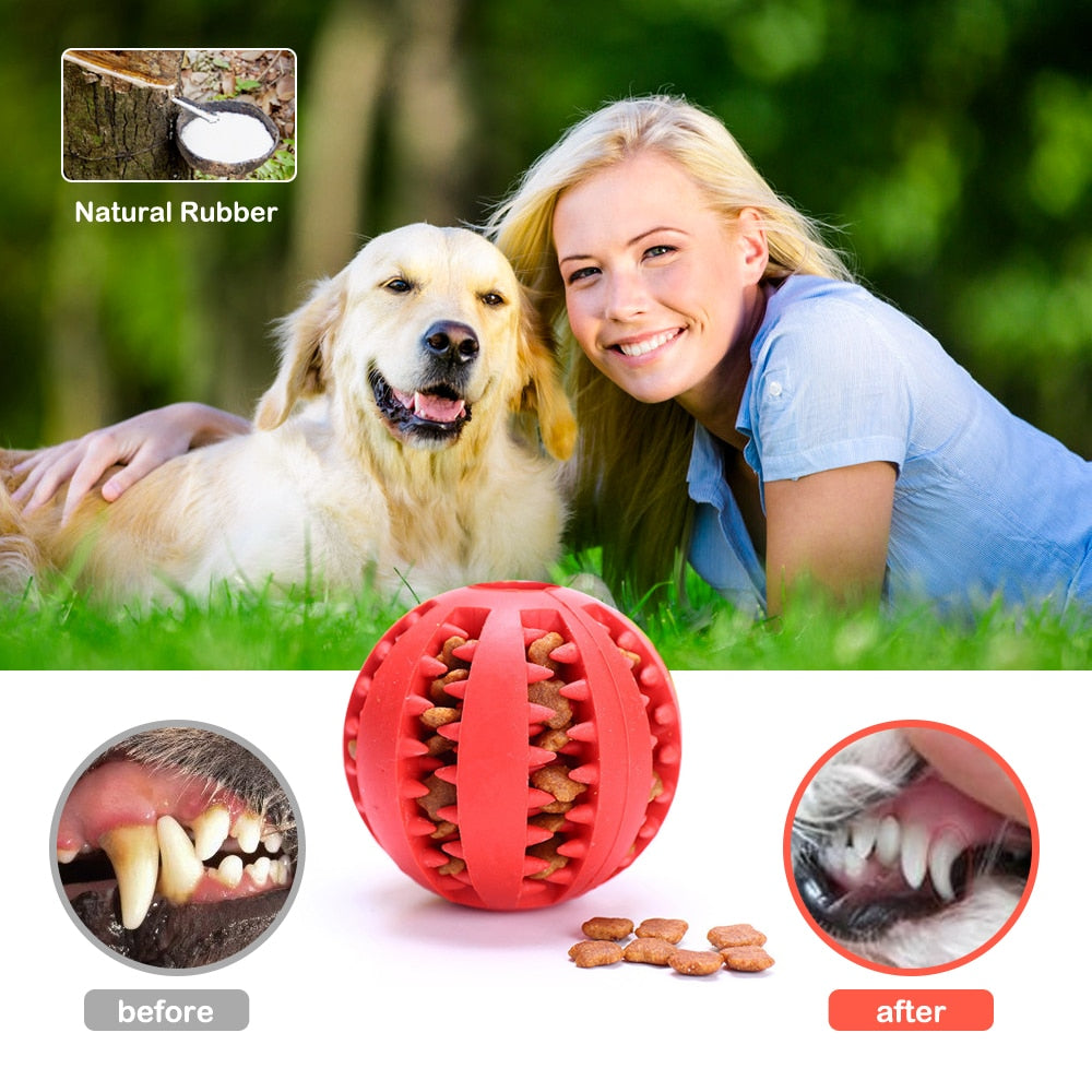 Puzzle Chew Treat Ball for Puppies and dogs pets-park-pk