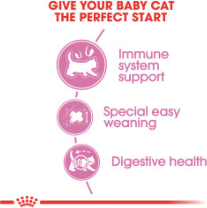 Royal Canin Mother & Baby Cat pets-park-pk