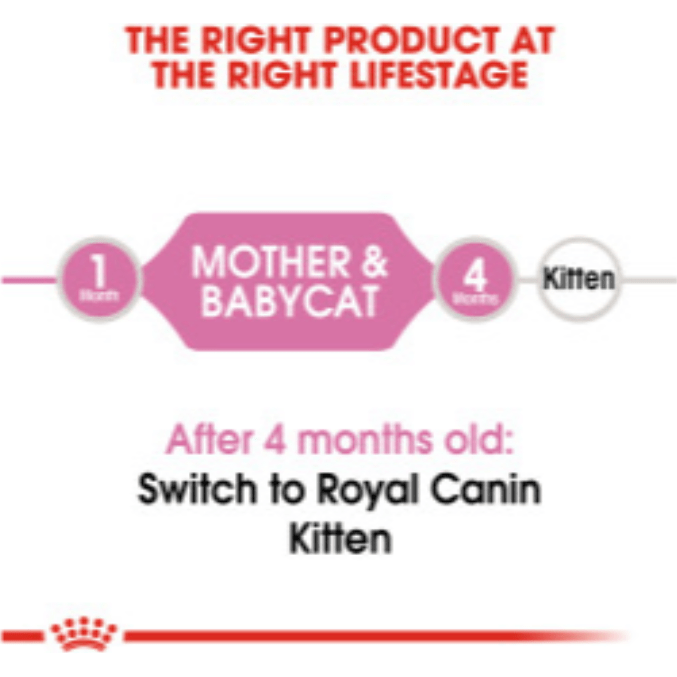 Royal Canin Mother & Baby Cat pets-park-pk