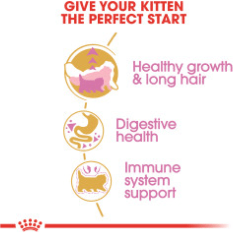 Royal Canin Persian Kitten pets-park-pk