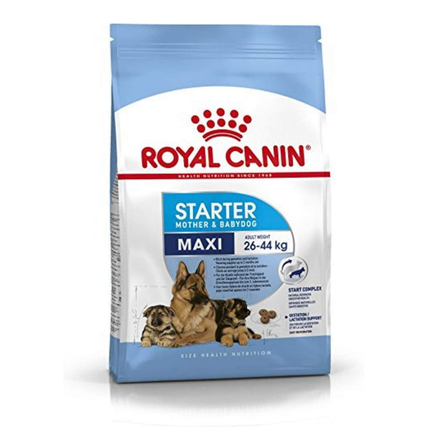 Royal Canin Maxi Starter pets-park-pk