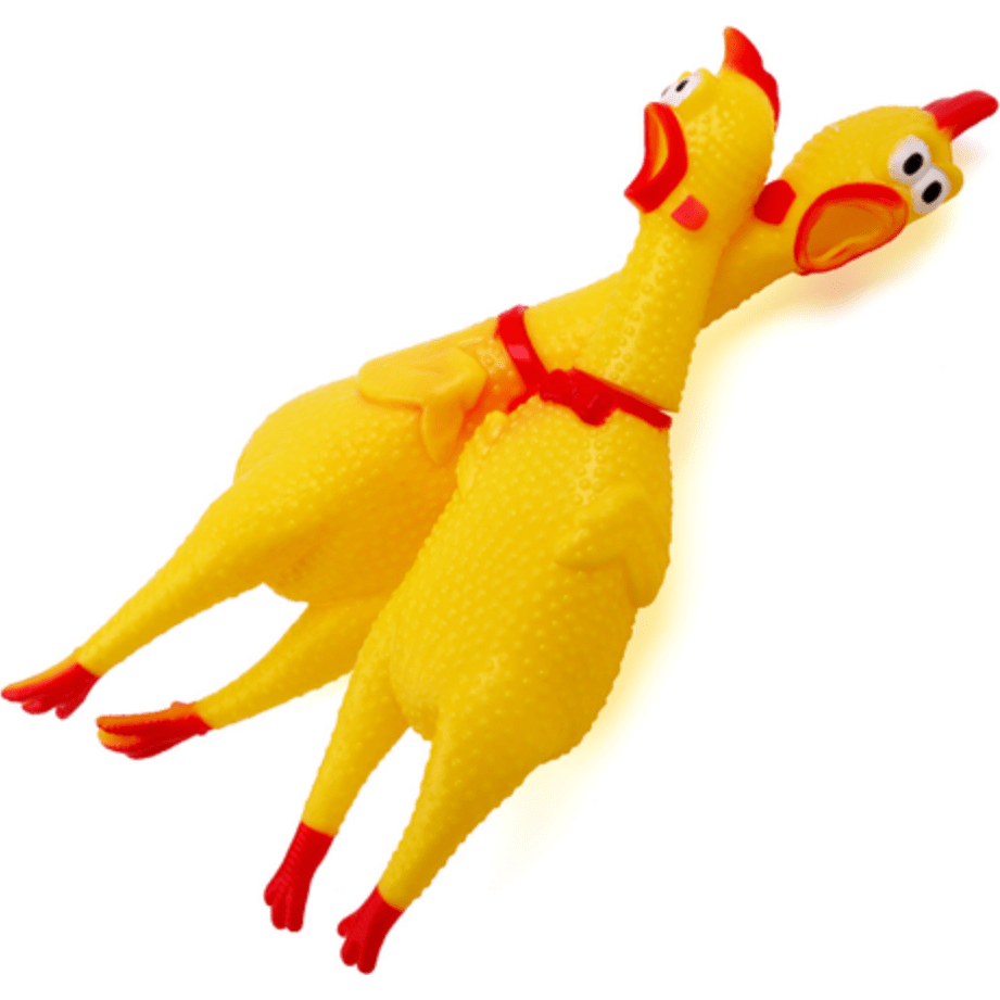 Squeaking Dog Hen Toy pets-park-pk