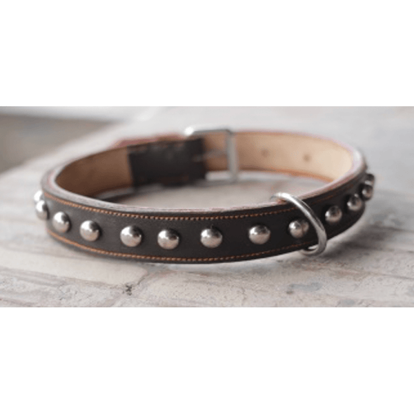 Stylist Leather Collar Single Stud pets-park-pk