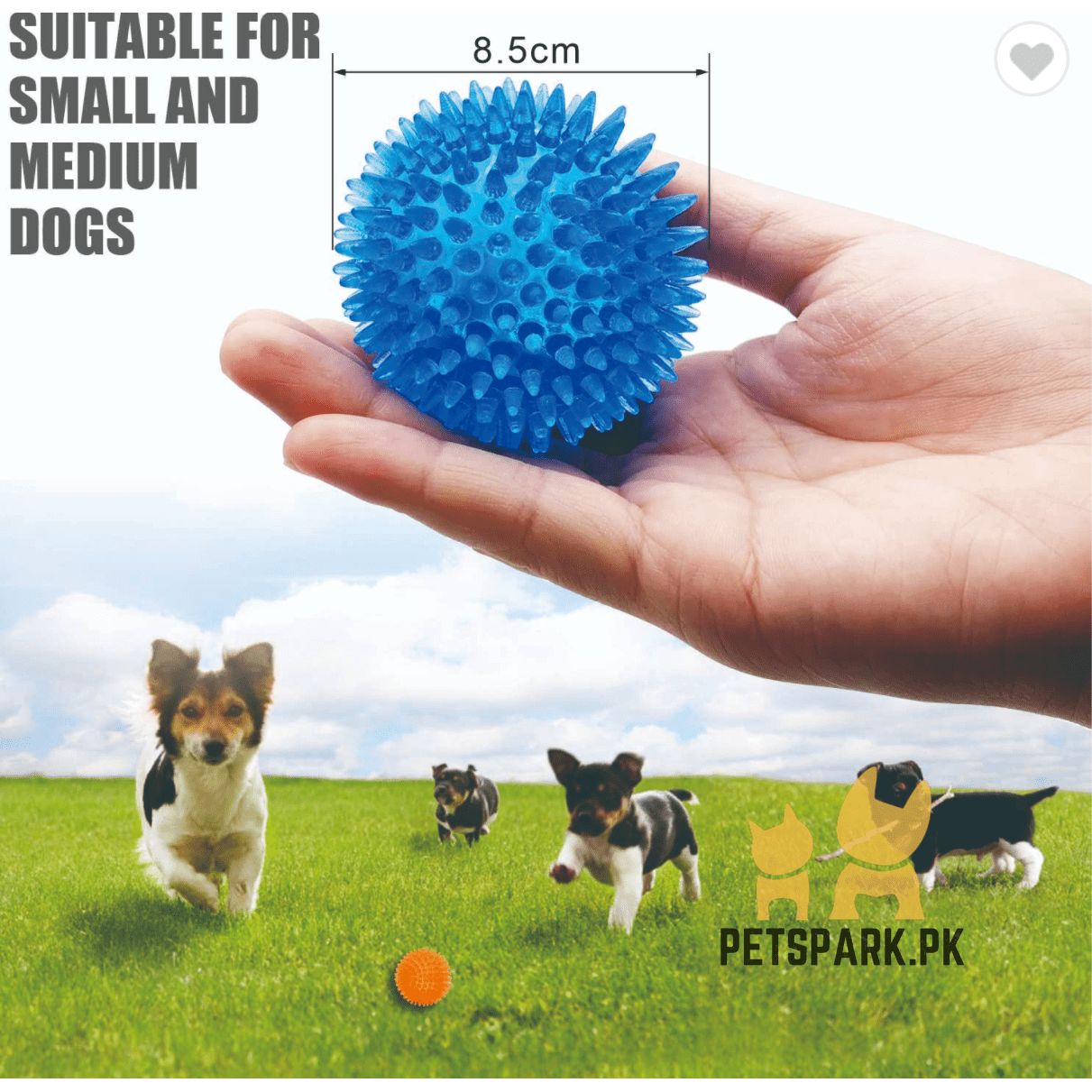 Toy Ball pets-park-pk