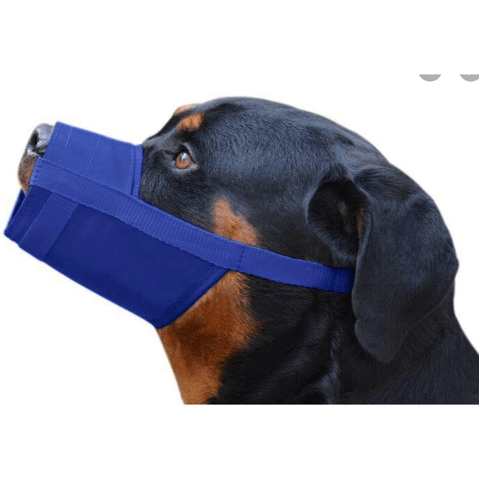 Velcro Muzzle pets-park-pk