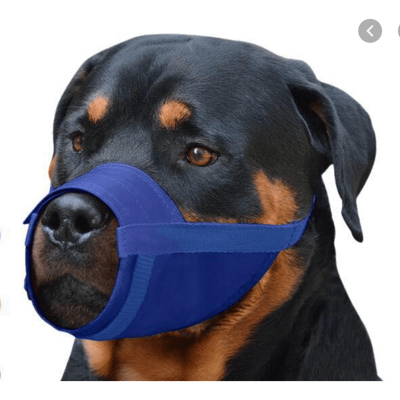 Velcro Muzzle pets-park-pk