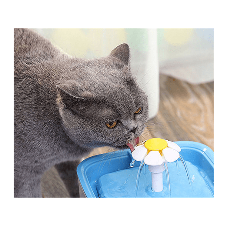 Water Fountain for Cats 2.0 Litres pets-park-pk